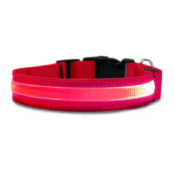 Glowing LED Dog Collar - 3 Flashing Mode - Red - Image 2