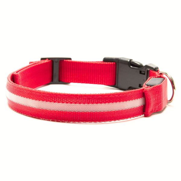 Glowing LED Dog Collar - 3 Flashing Mode - Red