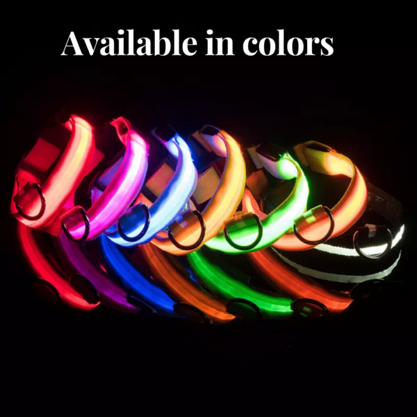 Glowing LED Dog Collar - 3 Flashing Mode - Red - Image 10