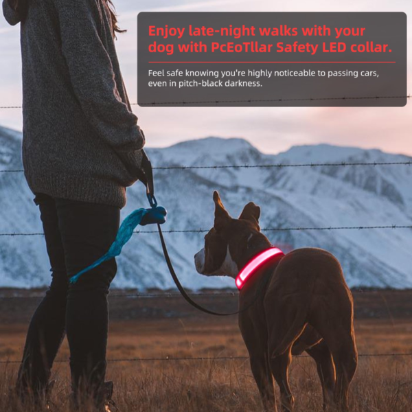 Glowing LED Dog Collar - 3 Flashing Mode - Red - Image 9