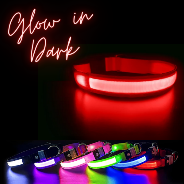 Glowing LED Dog Collar - 3 Flashing Mode - Red - Image 3