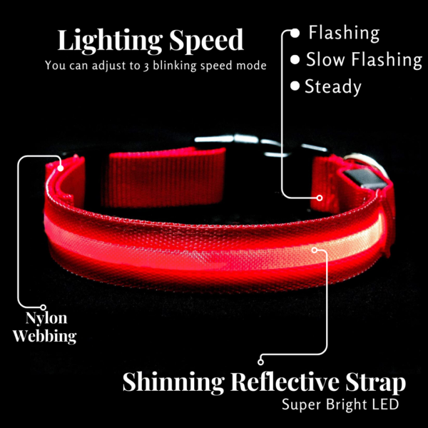 Glowing LED Dog Collar - 3 Flashing Mode - Red - Image 4